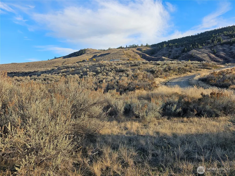 38 & 6 Pine Grove Road #46&47 Oroville, WA 98844