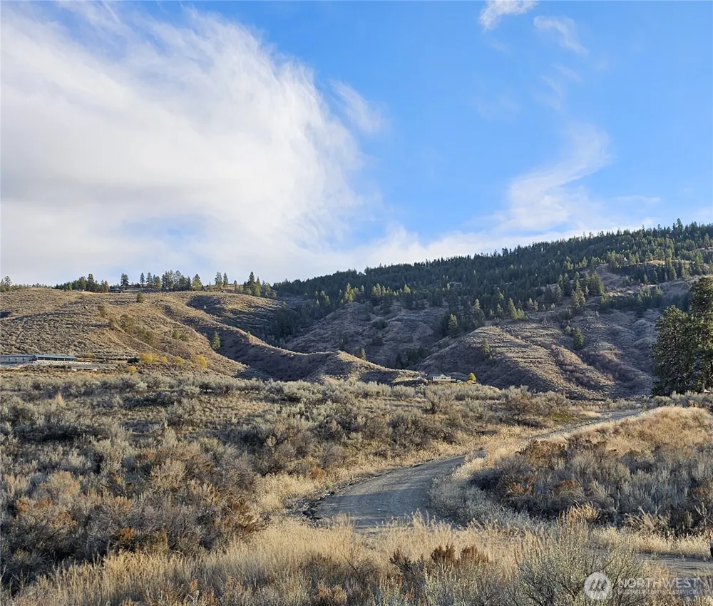 38 & 6 Pine Grove Road #46&47 Oroville, WA 98844