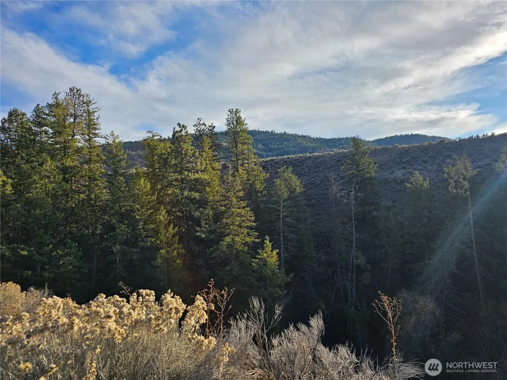 38 & 6 Pine Grove Road #46&47 Oroville, WA 98844
