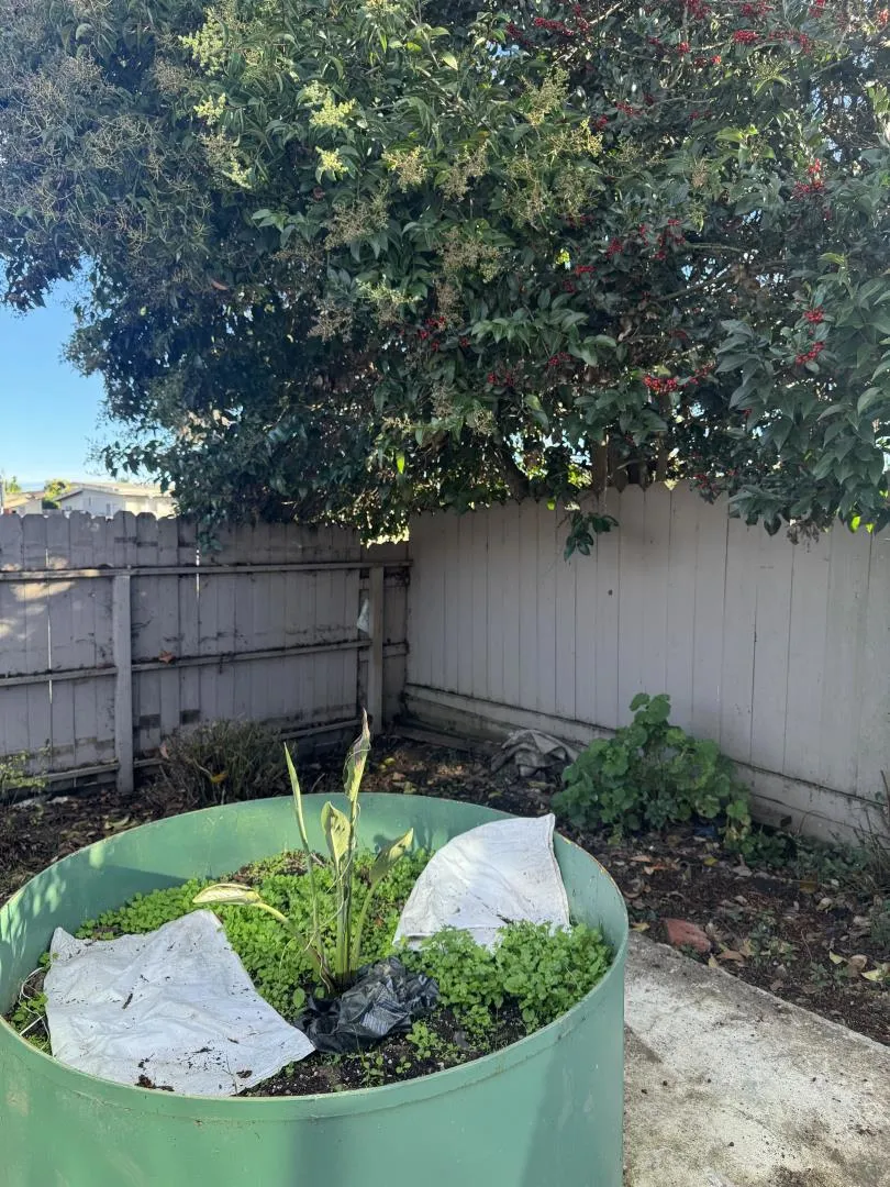 501 Cedar Drive Watsonville, CA 95076