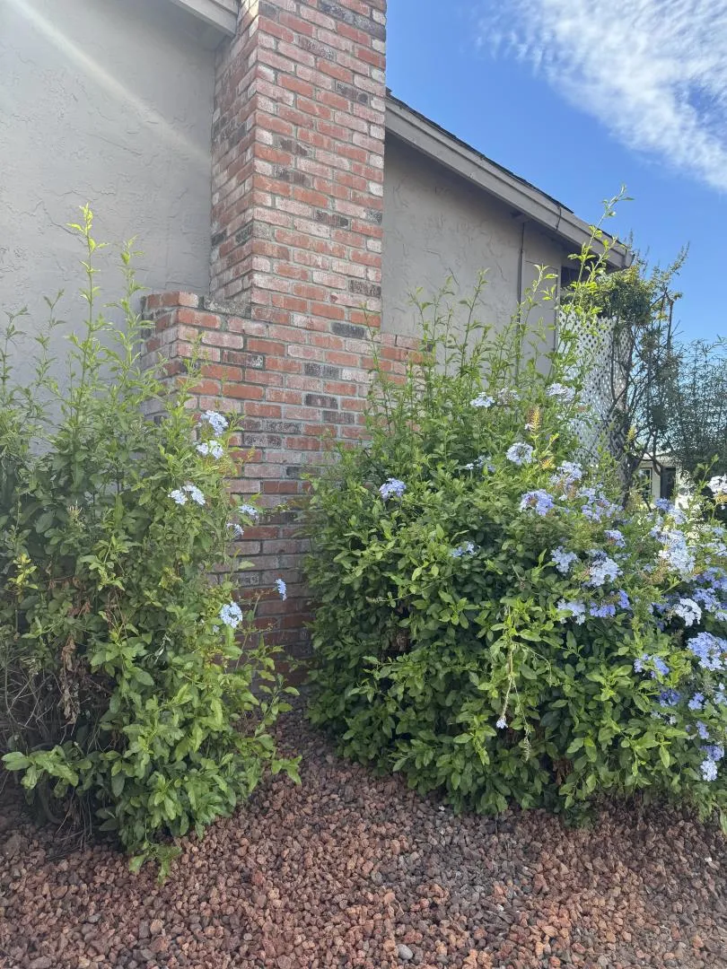 501 Cedar Drive Watsonville, CA 95076