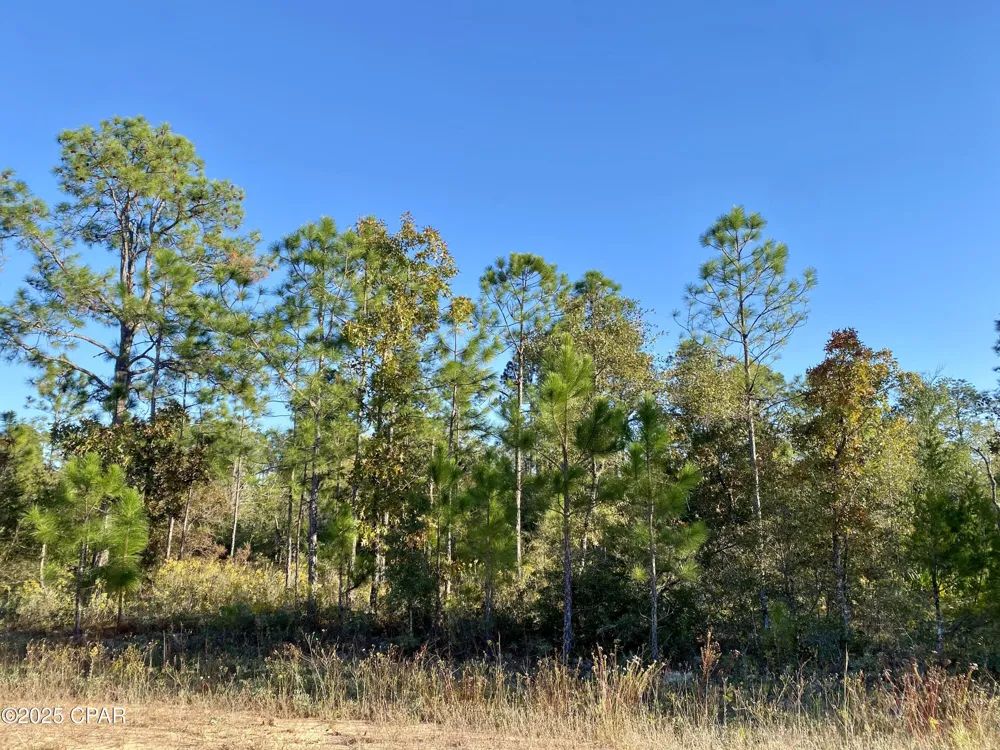 128 Nezperce Drive Alford, FL 32420