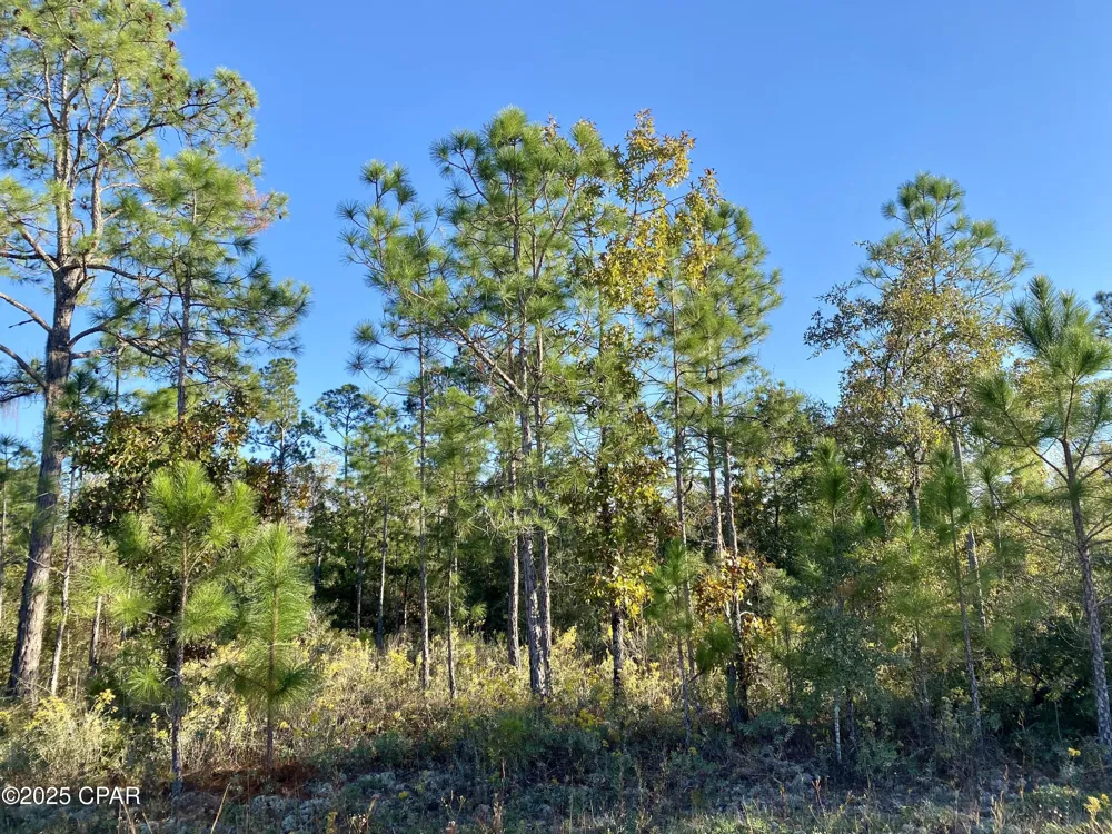 128 Nezperce Drive Alford, FL 32420