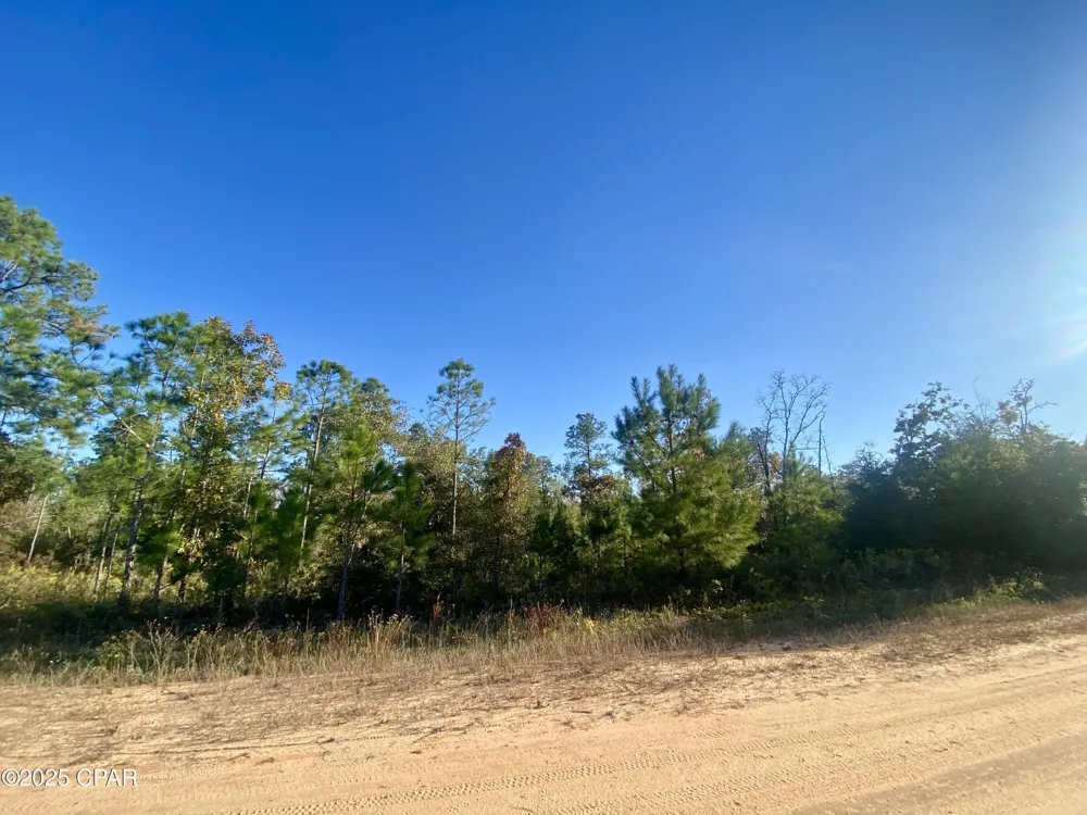 128 Nezperce Drive Alford, FL 32420