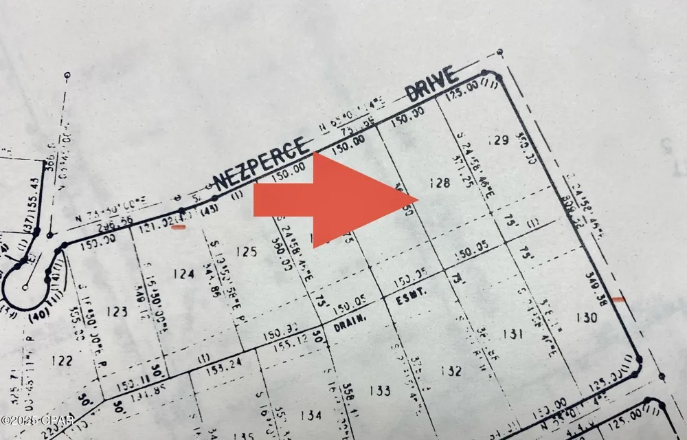 128 Nezperce Drive Alford, FL 32420