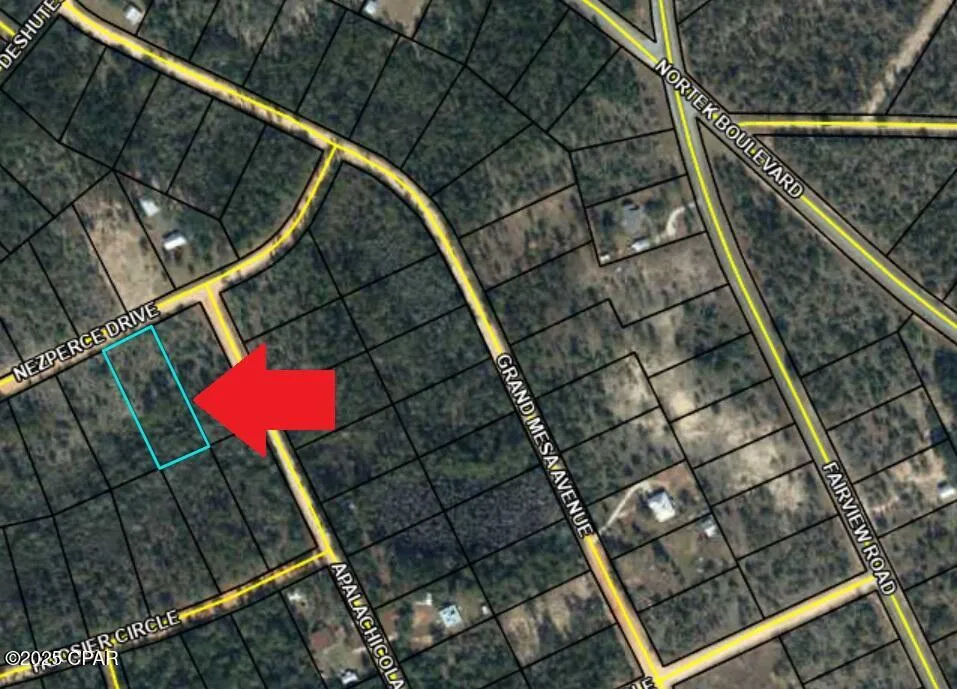 128 Nezperce Drive Alford, FL 32420