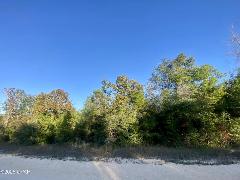 34 Anderson Drive Alford, FL 32420