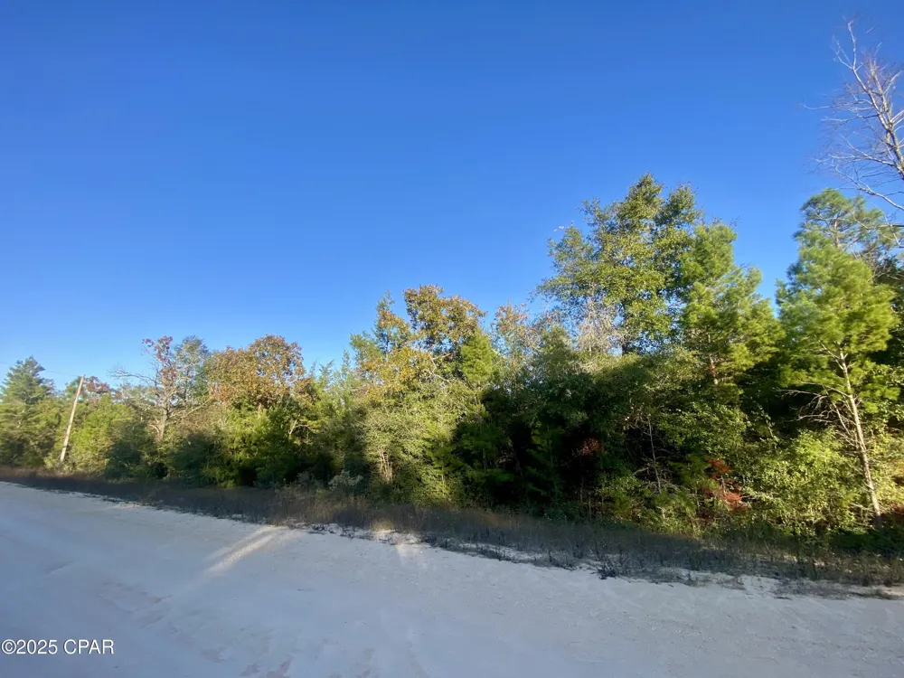 34 Anderson Drive Alford, FL 32420