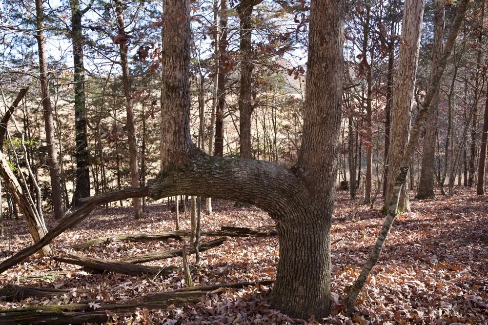 7 West of Barlow Rd Rock Island, TN 38581