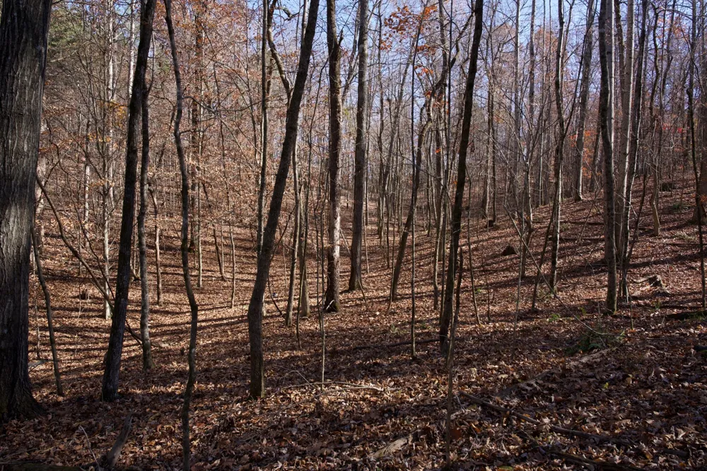 7 West of Barlow Rd Rock Island, TN 38581