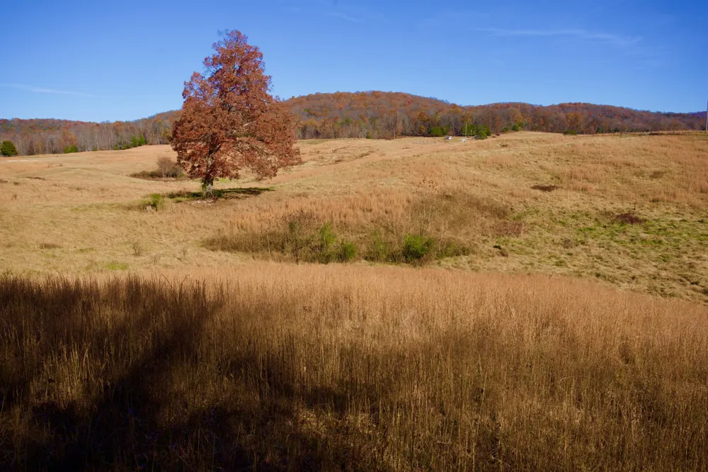 7 West of Barlow Rd Rock Island, TN 38581