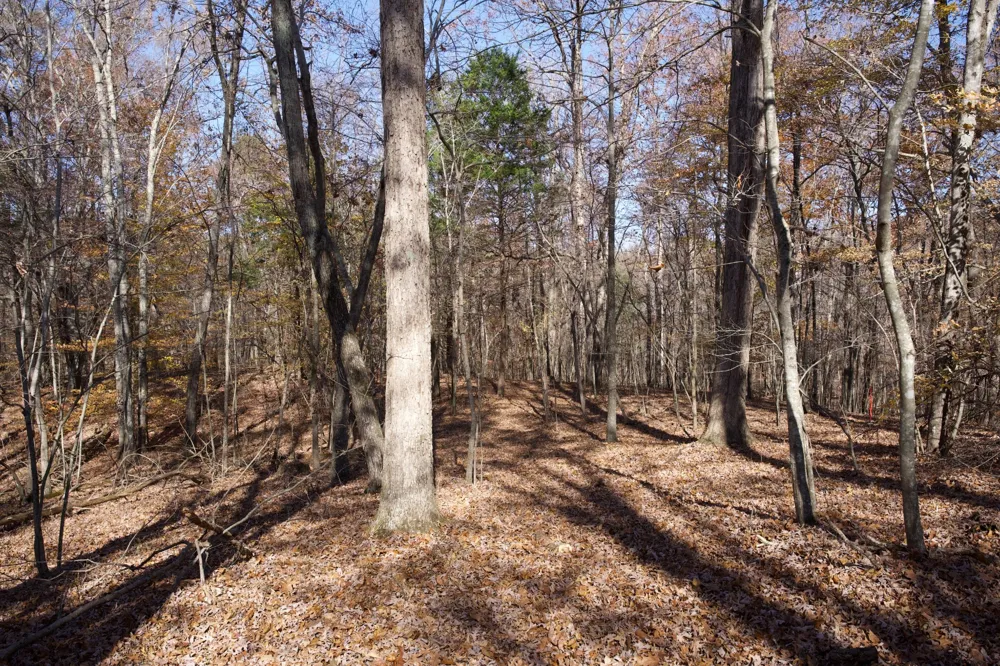 7 West of Barlow Rd Rock Island, TN 38581