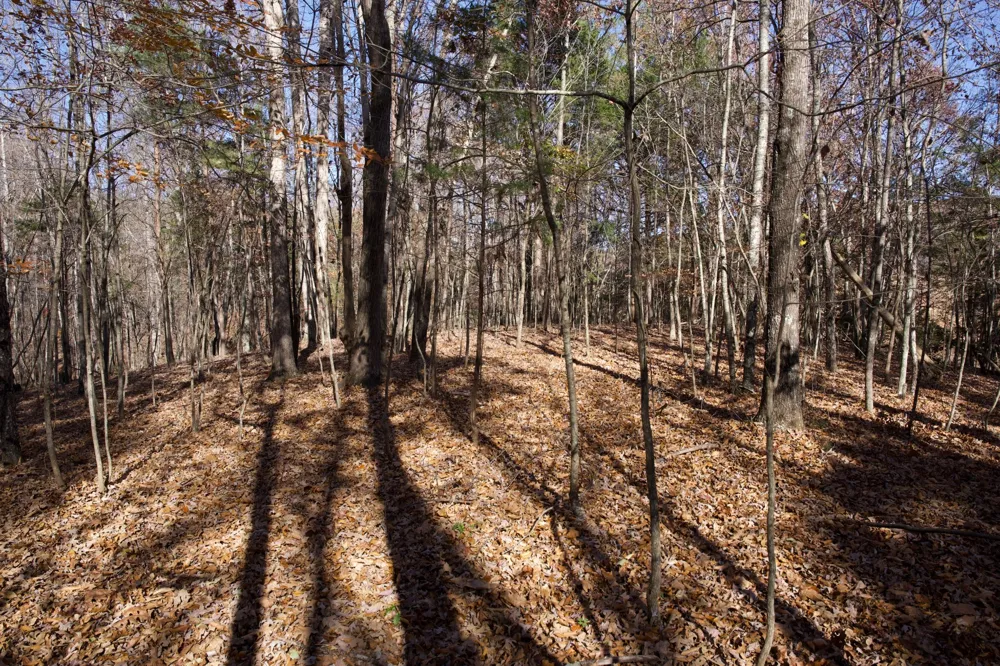 7 West of Barlow Rd Rock Island, TN 38581