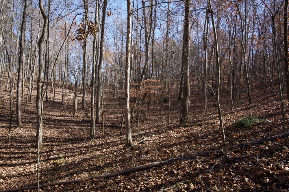 7 West of Barlow Rd Rock Island, TN 38581