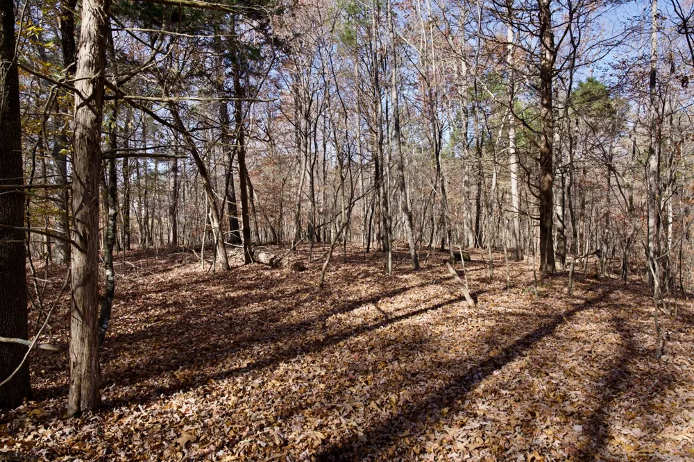 7 West of Barlow Rd Rock Island, TN 38581