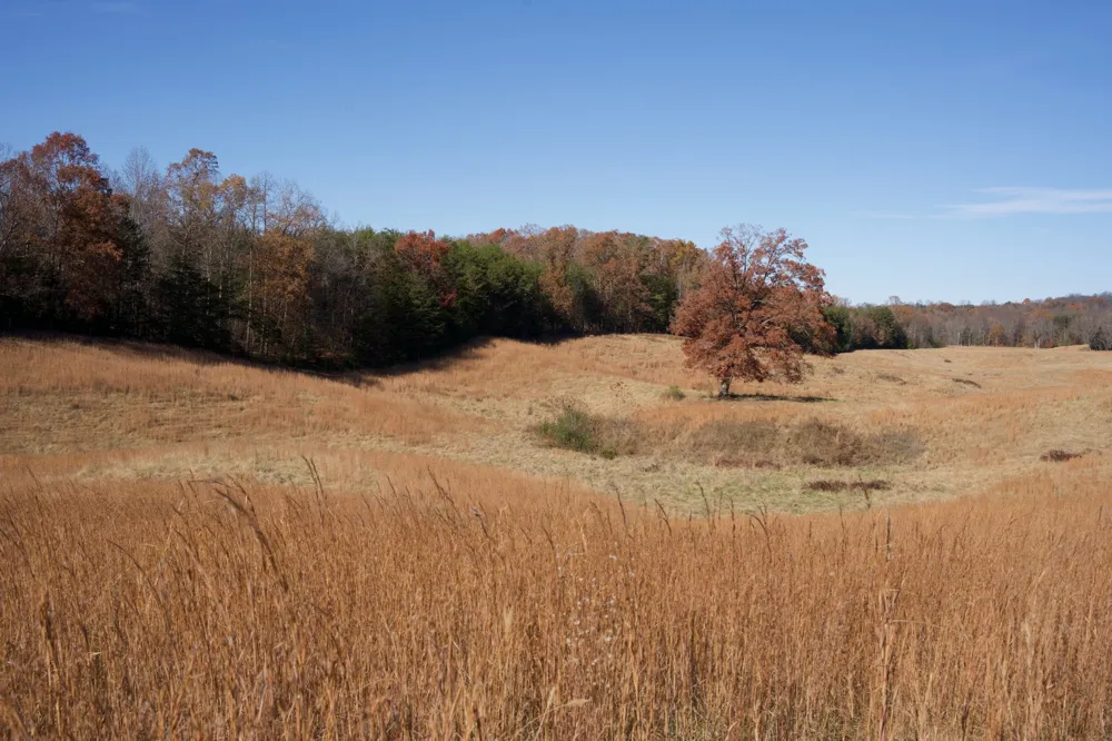 7 West of Barlow Rd Rock Island, TN 38581