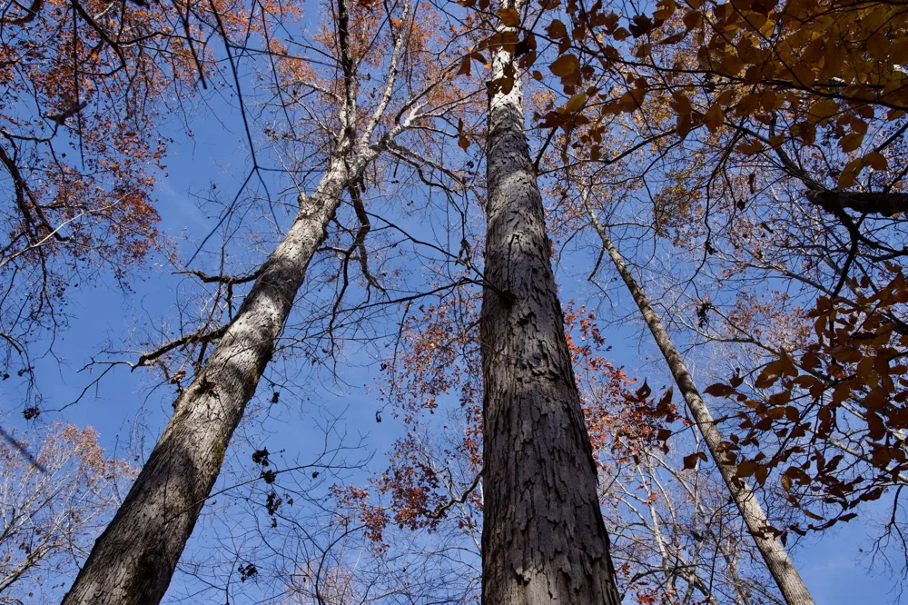 7 West of Barlow Rd Rock Island, TN 38581