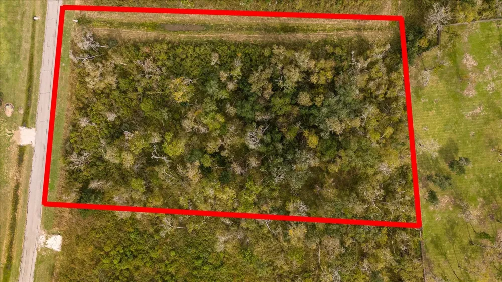 32003 Bayou Bend Richwood, TX 77515