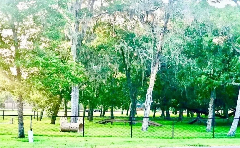 32003 Bayou Bend Richwood, TX 77515