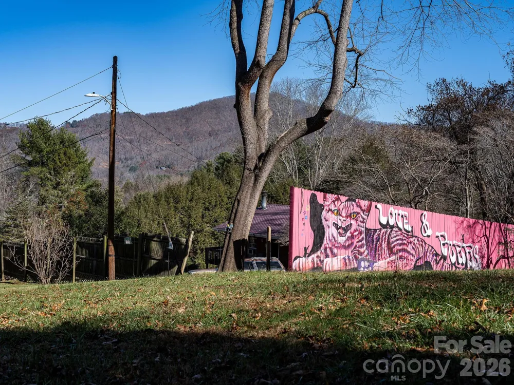 107 Woodland Church Road Clyde, NC 28721