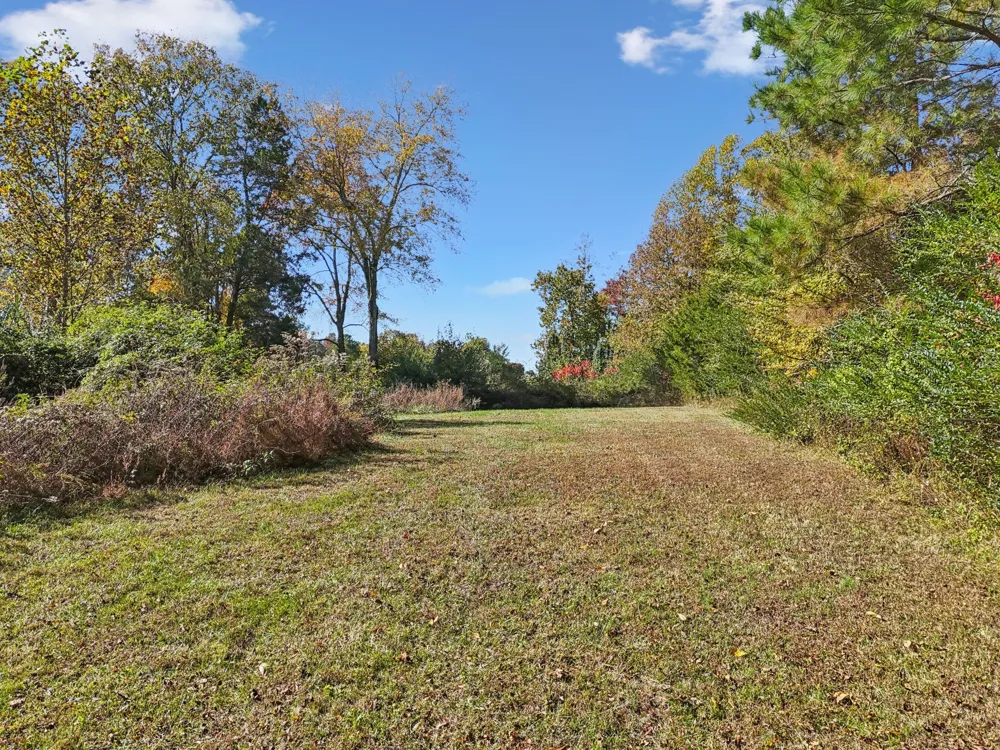 10849 Jim Cummings Hwy Bradyville, TN 37026