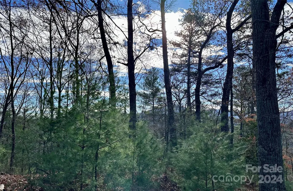 625 White Water Way #25 Marshall, NC 28753
