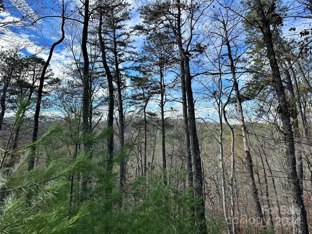 625 White Water Way #25 Marshall, NC 28753