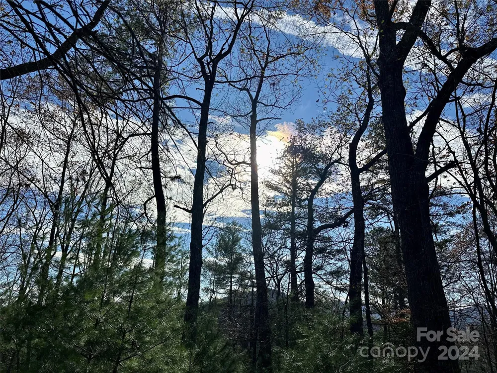 625 White Water Way #25 Marshall, NC 28753
