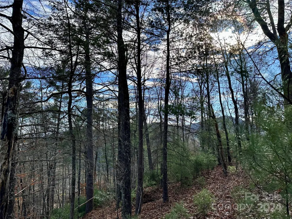 625 White Water Way #25 Marshall, NC 28753