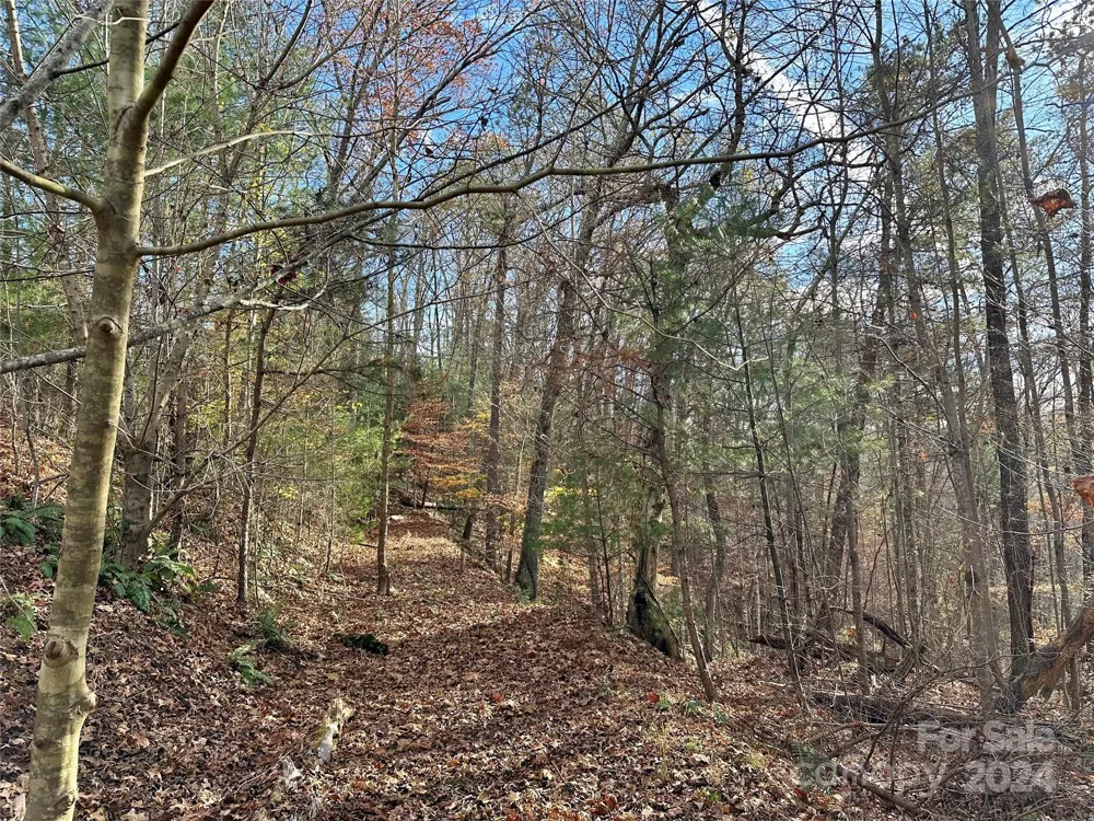 625 White Water Way #25 Marshall, NC 28753