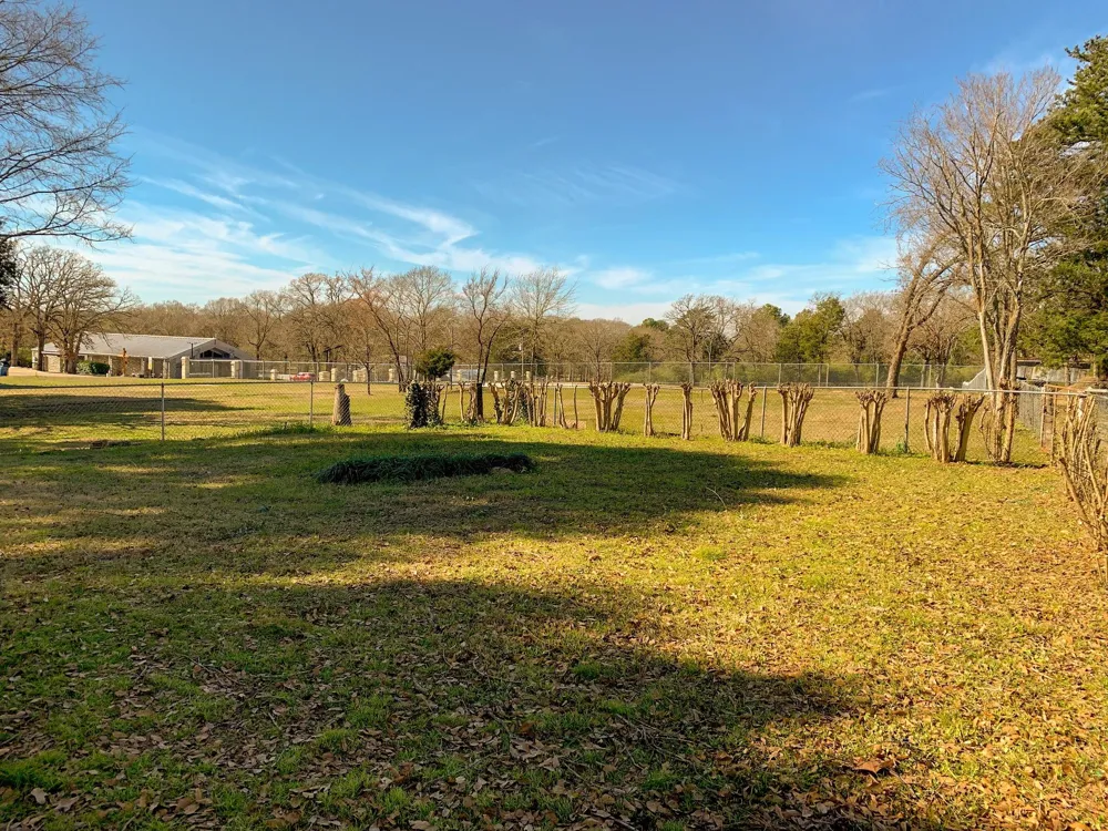 519 W Commerce Buffalo, TX 75831