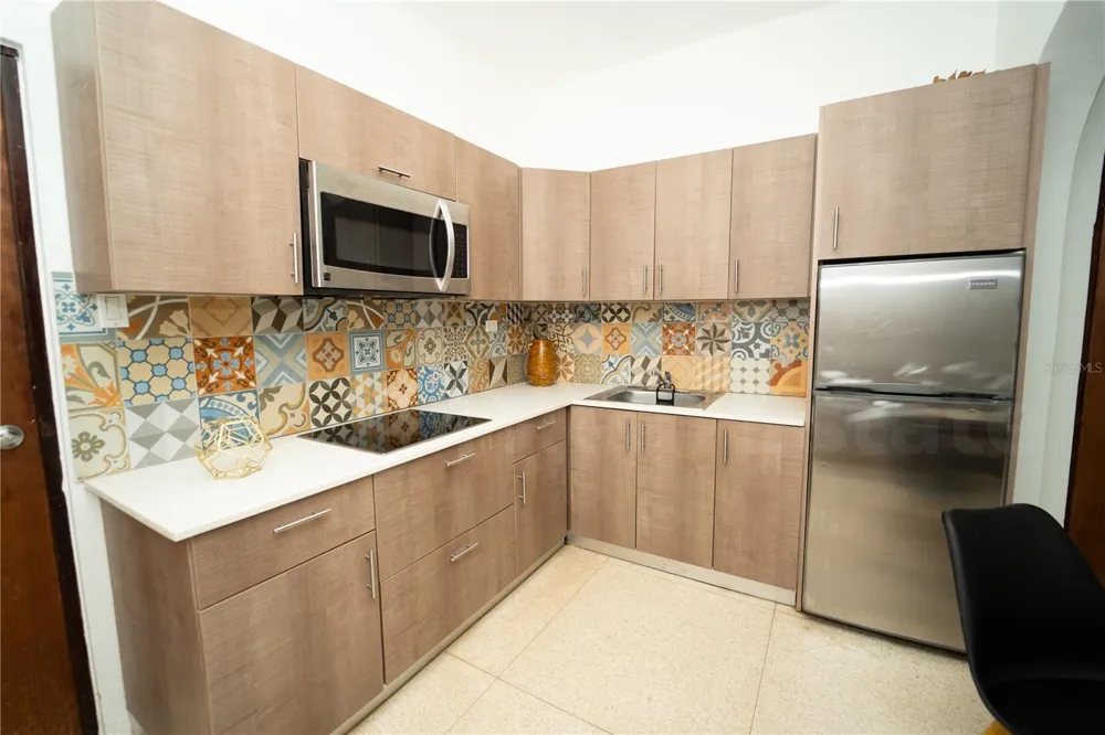 2019 CACIQUE STREET San Juan, PR 00911