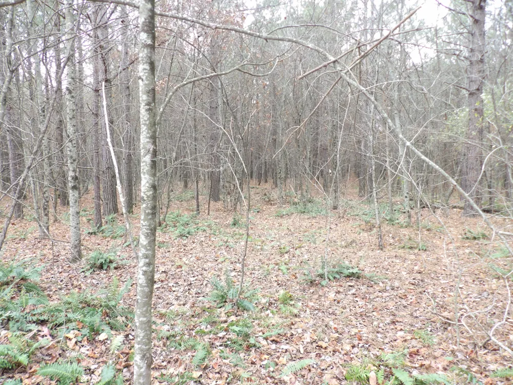 21 Summercity Road Evensville, TN 37332