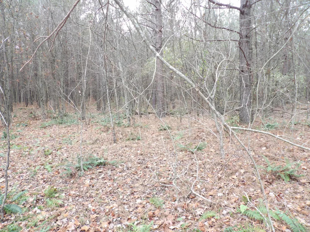 21 Summercity Road Evensville, TN 37332