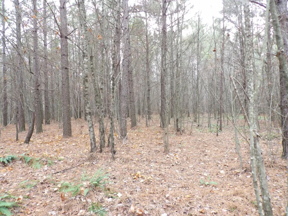 21 Summercity Road Evensville, TN 37332