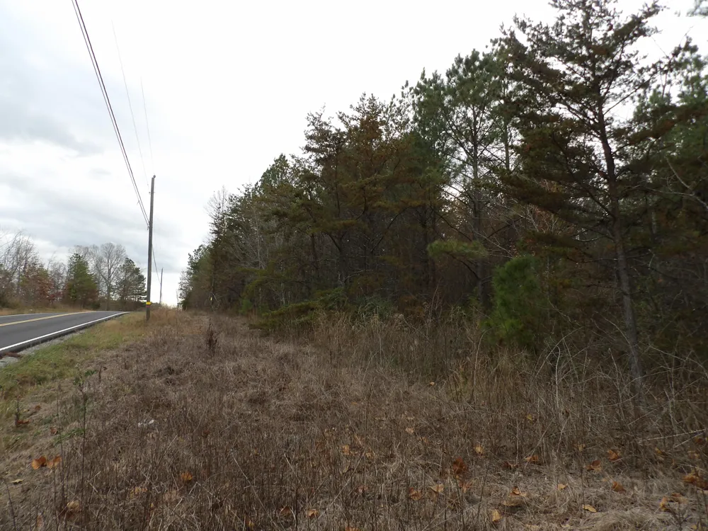 21 Summercity Road Evensville, TN 37332