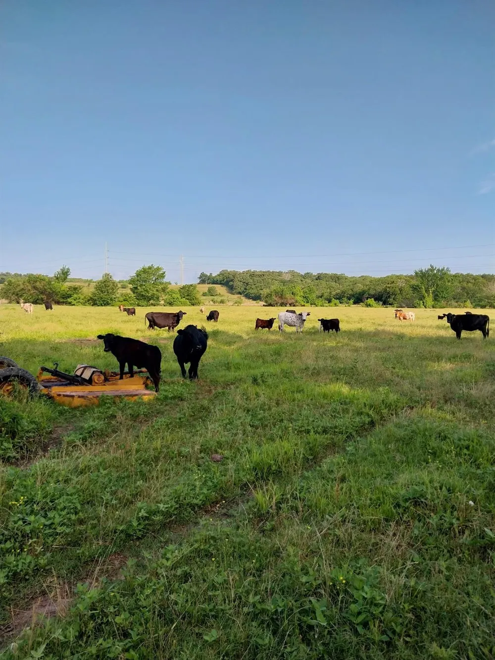 Fm 857 Road Grand Saline, TX 75140