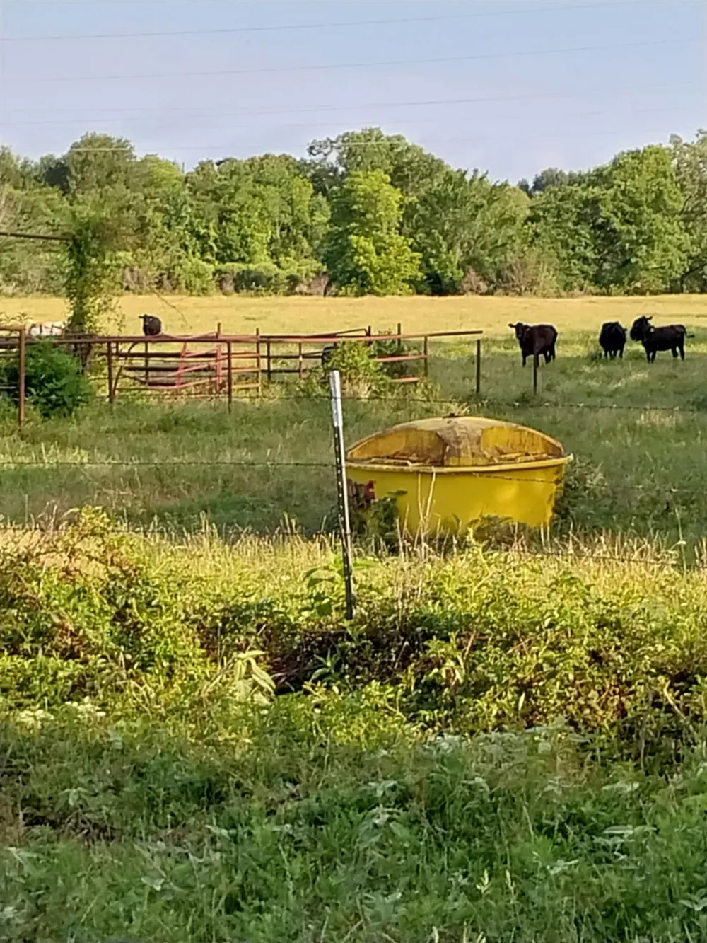 Fm 857 Road Grand Saline, TX 75140