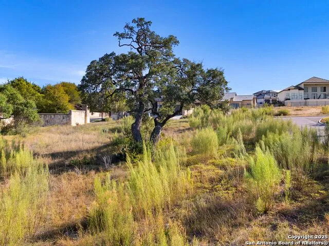 11 DOMINION MEADOWS San Antonio, TX 78257
