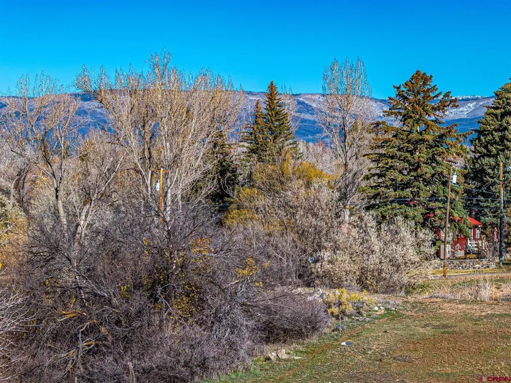 520 SE Stonebridge Drive Cedaredge, CO 81413