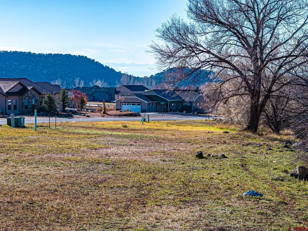 520 SE Stonebridge Drive Cedaredge, CO 81413