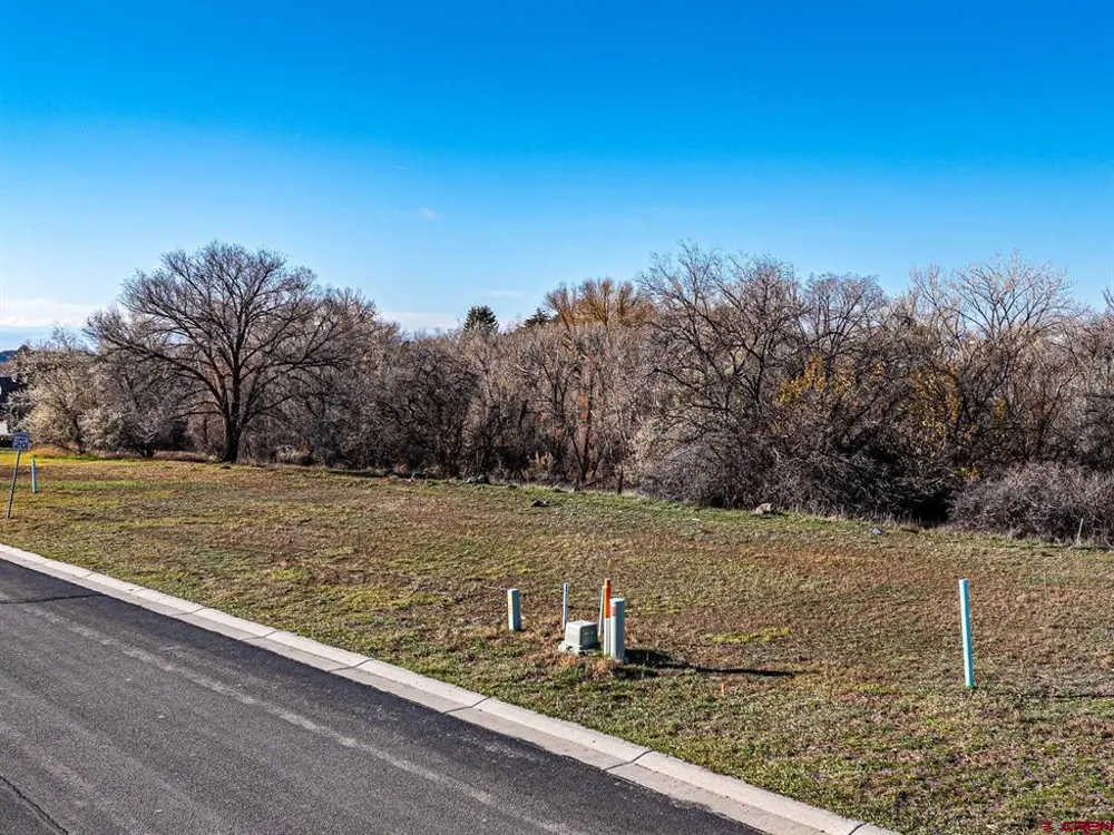 520 SE Stonebridge Drive Cedaredge, CO 81413