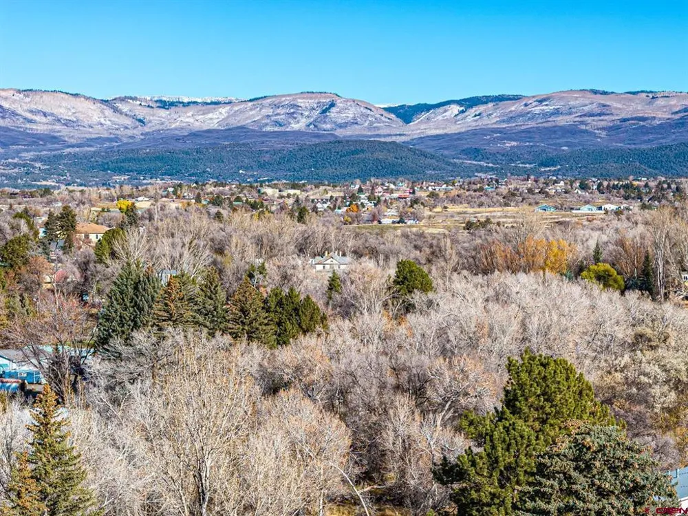 520 SE Stonebridge Drive Cedaredge, CO 81413