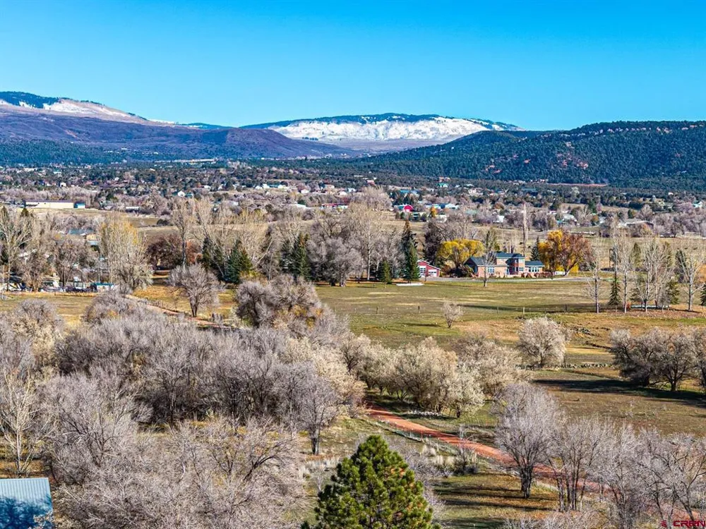 520 SE Stonebridge Drive Cedaredge, CO 81413