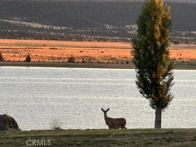 Lake View Drive Alturas, CA 96100