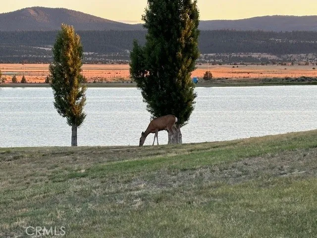 Lake View Drive Alturas, CA 96100