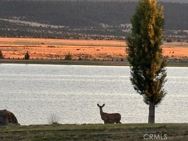 Lake View Drive Alturas, CA 96100