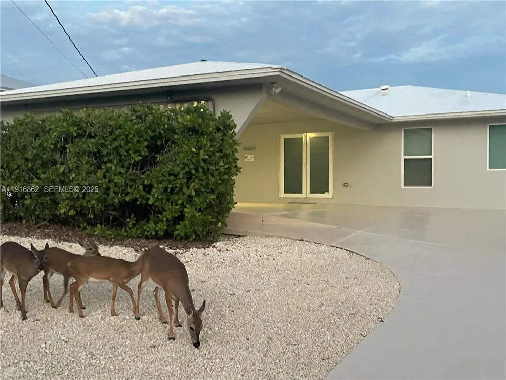 1733 Sunrise Dr Big Pine, FL 33043