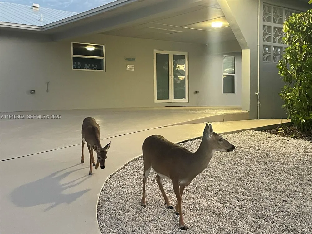 1733 Sunrise Dr Big Pine, FL 33043