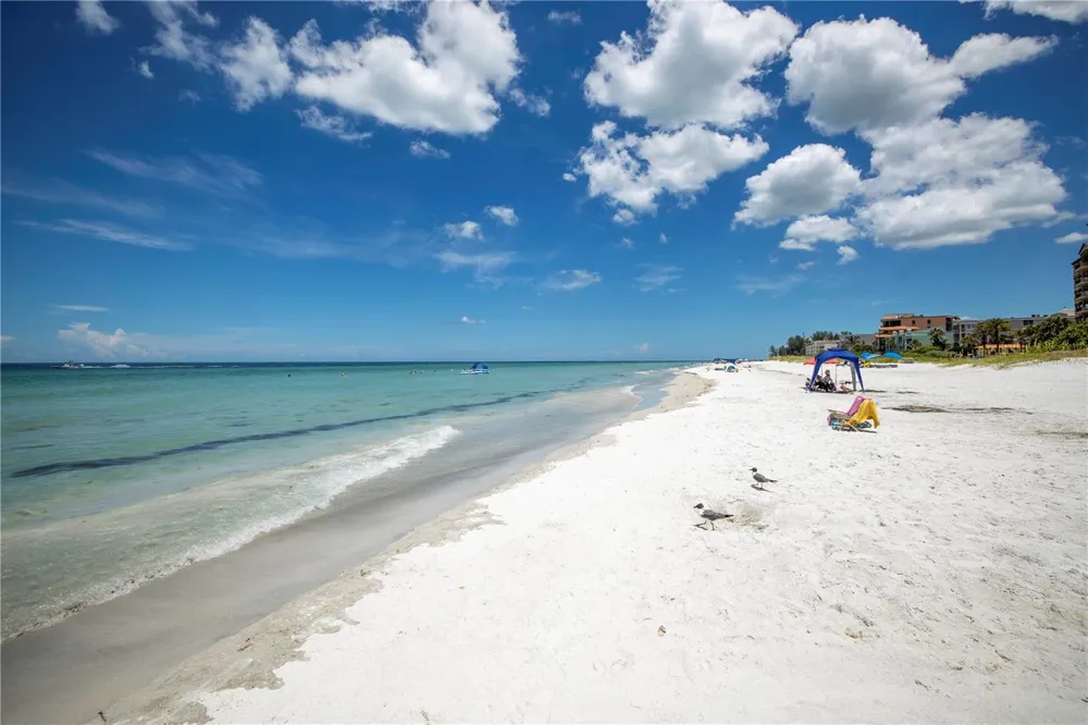 19505 GULF BOULEVARD #304 Indian Shores, FL 33785